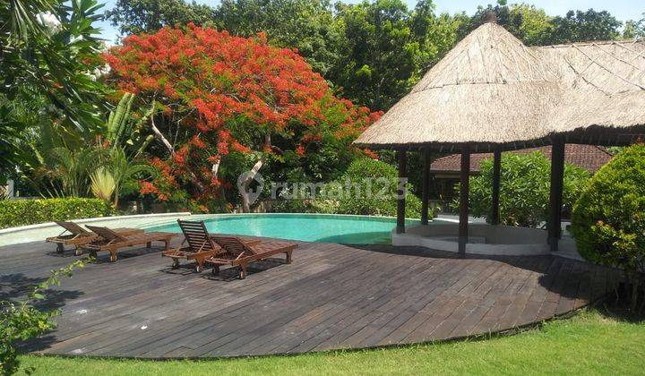 Villa Canggu Dengan Taman Yang Luas Sangat Asri Dan Tenang 2