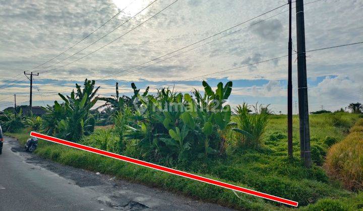 Agriculture Land In Kaba Kaba Tabanan Close To Canggu Area 1