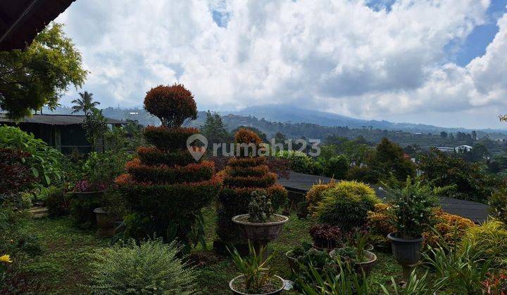 Fertile Land Air Cooled House in Baturiti Bedugul Bali 1