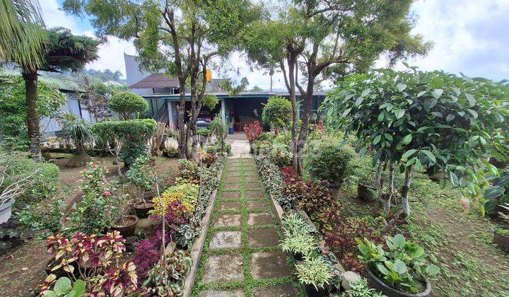 Fertile Land Air Cooled House in Baturiti Bedugul Bali 2