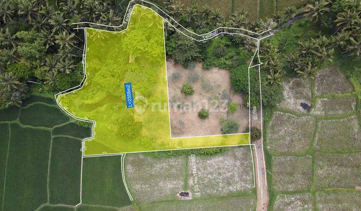 Land Surrounded by Beautiful Rice Field Views in Lod Tunduh Ubud Bali 1