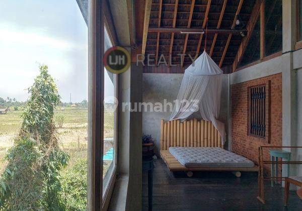 House for rent at Singapadu, Gianyar, strategic location, well maintained, only 5 minutes to Bali Zoo 1