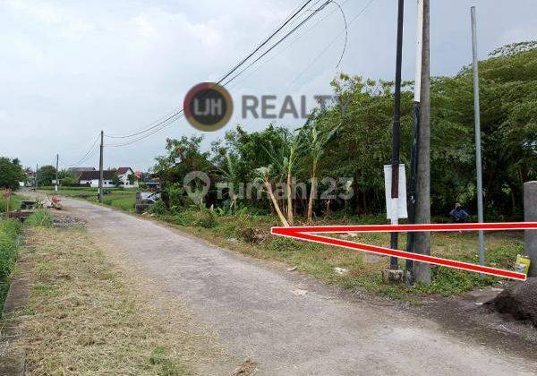 Kedungu Land Rice Field View Close To The Beach 2