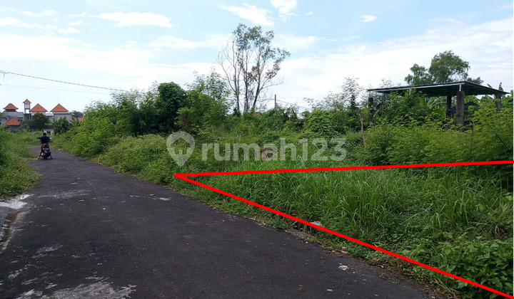 Tanah Lingkungan Villa Dekat Pantai Keramas dan Bali Safari Gianyar Bali 2