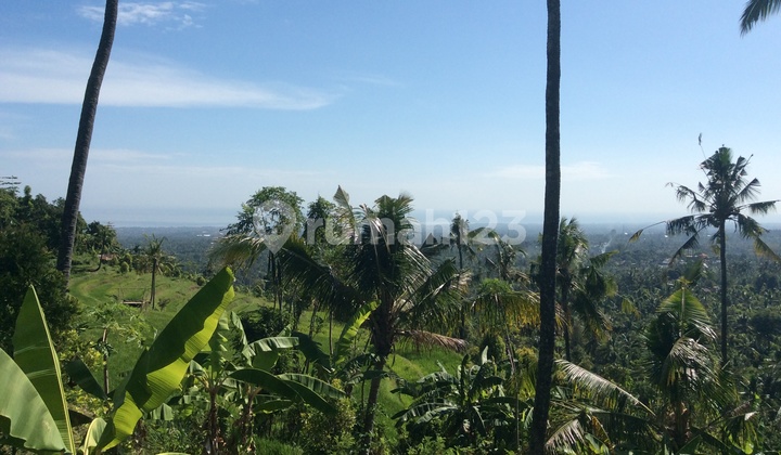 Magnifficient Panoramic Ocan View Land Panji Singaraja North Bali 1