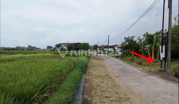 Tanah Sempit dengan Pemandangan Sawah Dekat Pantai Kedungu