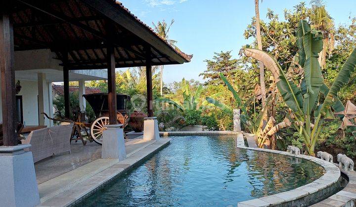 Villa Halaman Luas 300 Meter Dari Pantai Saba Gianyar 2