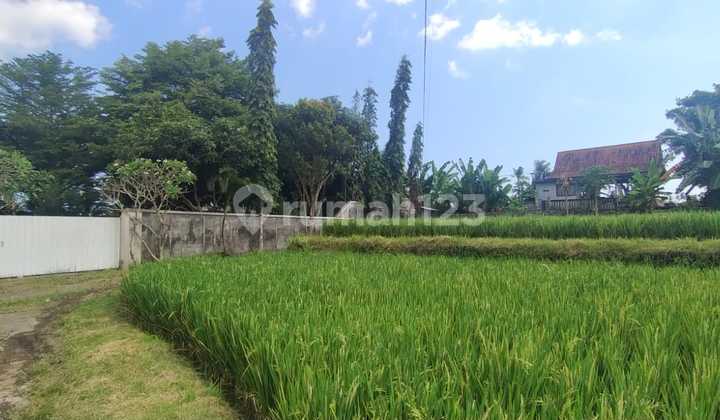 Tanah Murah View Sawah Dekat Pantai Keramas Gianyar