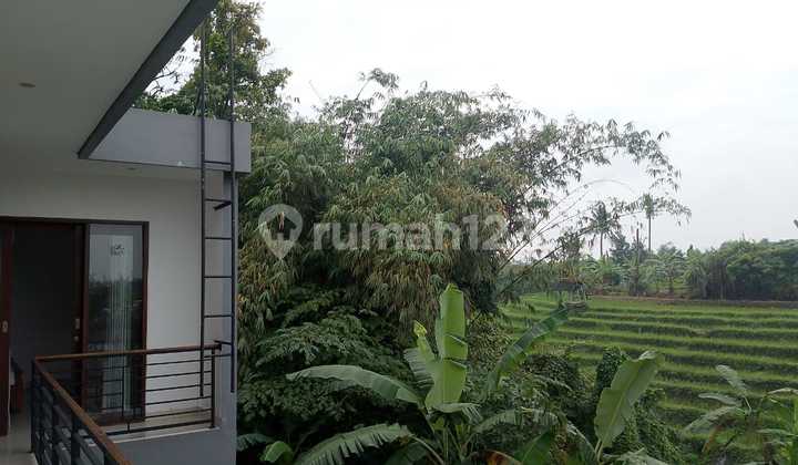 Unblock Rice Field And Sunrise View Villa With Calming Sound of River in Pererenan 1