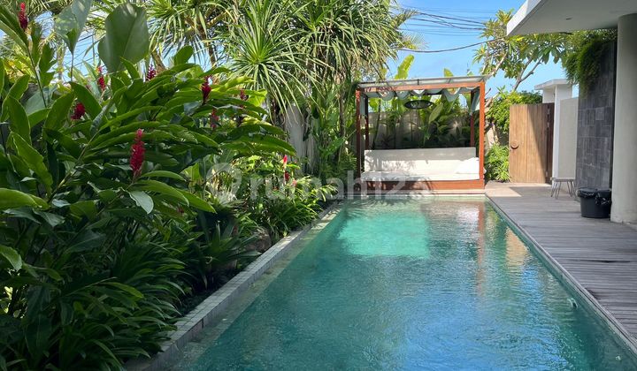 3 Bedroom Villa Central Seminyak Walking Distance to the Beach
