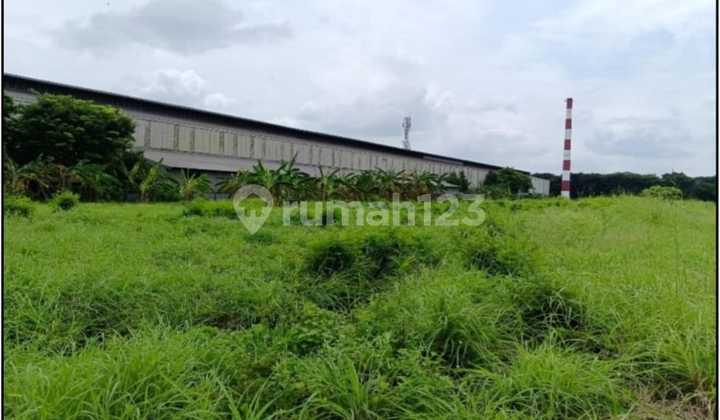 Land in the Gresik Manyar Industrial Area, Gresik