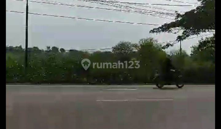 Tanah di Raya Jenu Tuban 2