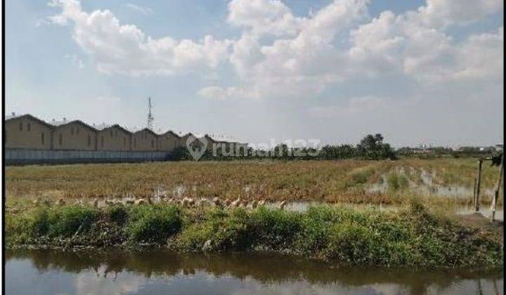 Tanah Industri Raya Demak Semarang Batu Karang Tengah Demak 1