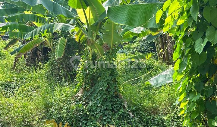 Land in Kedanyang, Kebomas, Gresik Land in Kedanyang, Kebomas, Gresik