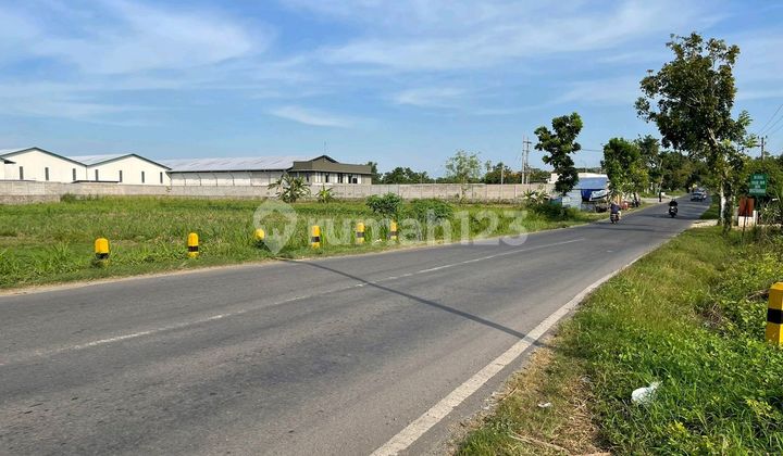 Tanah Jl Raya Mantup Glugu Lamongan