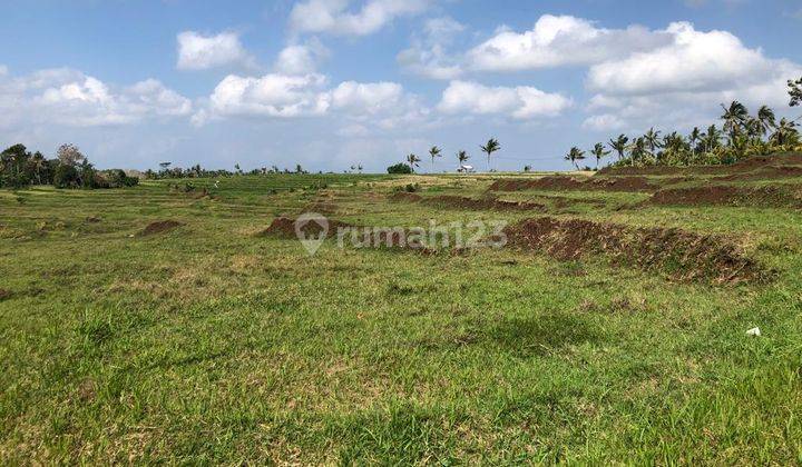 Land in Warnasari Jembrana Bali for plantations and livestock 1