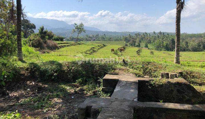 Land in Warnasari Jembrana Bali for plantations and livestock 2