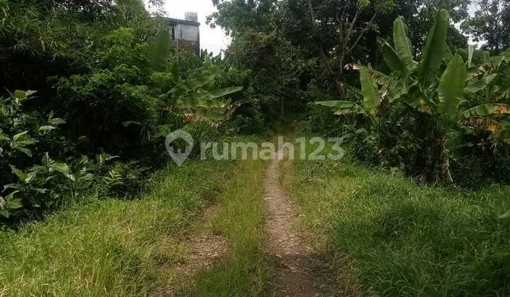 DIJUAL TANAH DISENTUL BOGOR