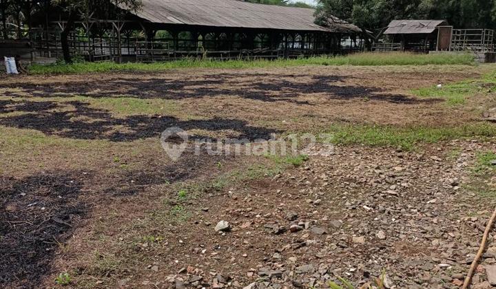 Dijual Tanah Di Puspitek Dijual Tanah Di Puspitek