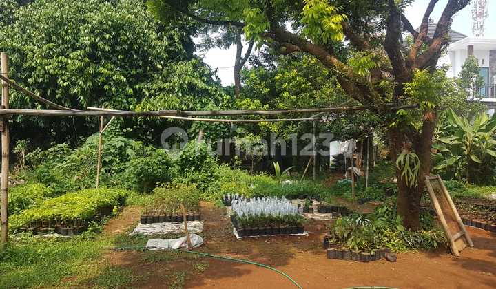 For Sale Land located in Kp Raya Mukti Citayam Sawangan Depok