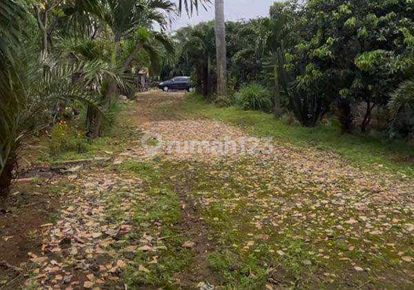 Tanah Komersial Jalan Cempaka Putih Murah Ijin Gedung Kantor 16 Lantai 2