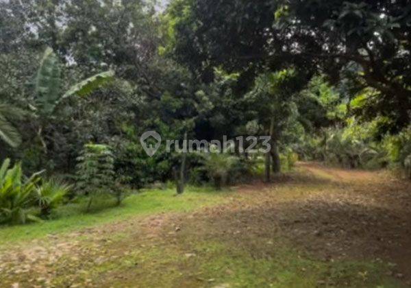 Tanah Komersil Jalan Cempaka Putih Murah Ijin Gedung Kantor 16 Lantai 1