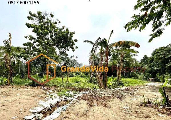 Tanah Komersial Pejaten Raya 5000m Dijual Murah 15 Juta M Dibawah Njop 2