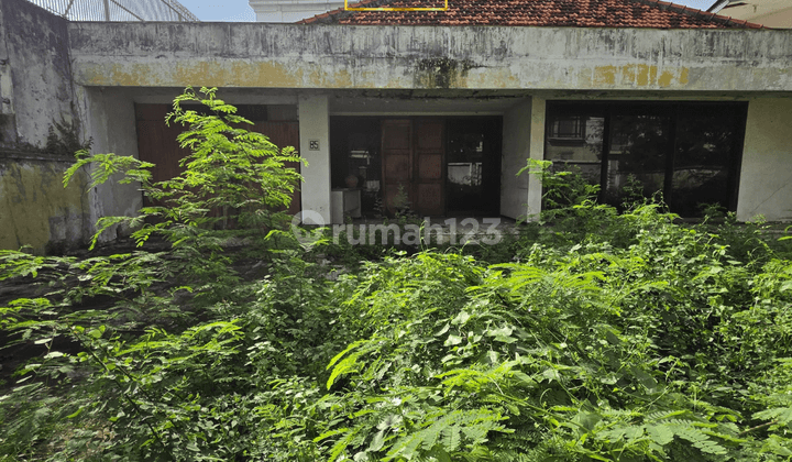 Menteng Termurah Jalan Mangun sarkoro, Persegi, Golongan C Jalan Lebar 2