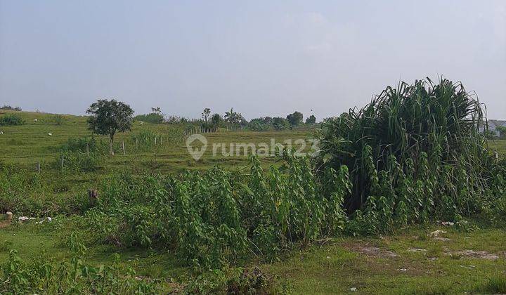 Dijual Lahan Tanah Kosong Dibawah Pasaran 1