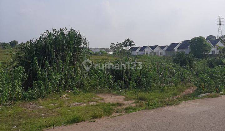 Dijual Lahan Tanah Kosong Dibawah Pasaran 2