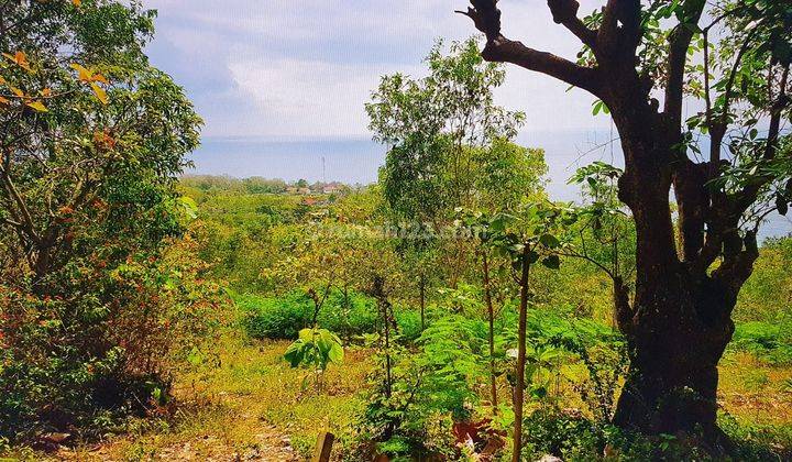 Plot 8.5 Are Beautiful Ocean View Batununggul Nusa Penida Bali Suitable for Cottage 1