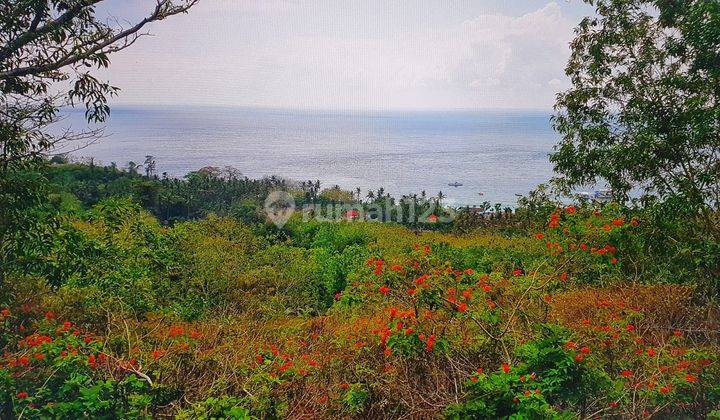 Plot 8.5 Are Beautiful Ocean View Batununggul Nusa Penida Bali Suitable for Cottage 2