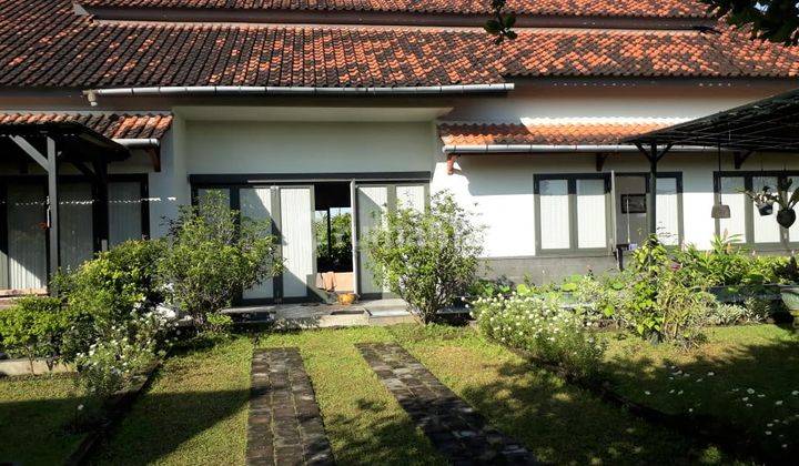 15 Menit Ke Canggu Dekat Pantai Villa View Sawah Kaba Kaba Tegal Kepuh Tabanan Bali Tenang Asri Favorit Bule 3