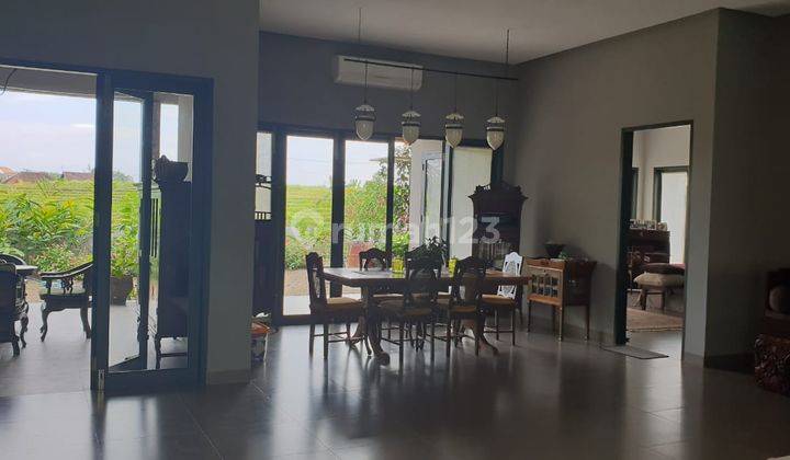 15 Menit Ke Canggu Dekat Pantai Villa View Sawah Kaba Kaba Tegal Kepuh Tabanan Bali Tenang Asri Favorit Bule 4