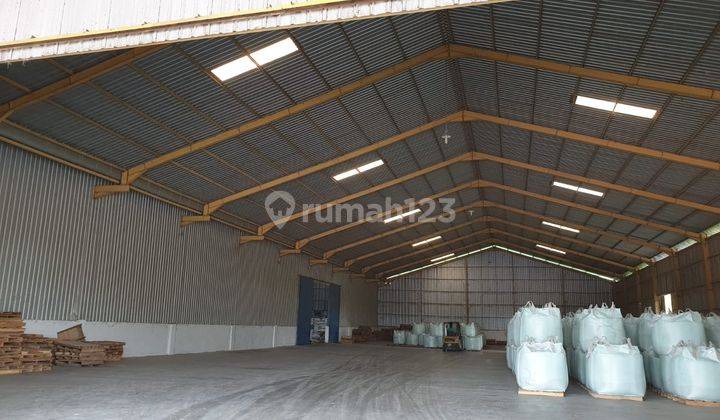 Nol Jalan Pantura Beli Gudang Bonus Tanah Luas Gembong Lamongan 8