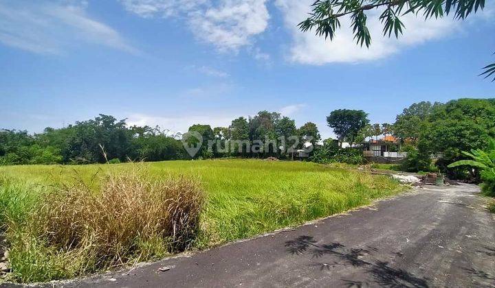 Premium Location Land Ready to Build Villa Cafe Resto Canggu Badung Bali 2