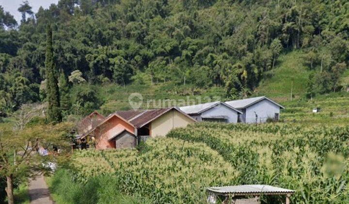 Tanah Gunungsari Bumiaji Batu 1004m2 Area WisataMurah 2jt/m2 Nol Jalan 2