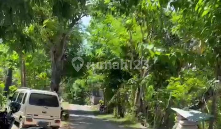 BARANG LANGKA Kavling Absolute Cliff Front Seraya Karangasem 1.315 m2 Lebar Sisi Tebing 30m Amazing Long Ocean View SHM Aspek Akomodasi Pariwisata 2