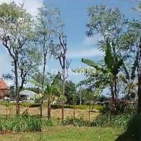 RARE ITEMS REMAINING 2 UNITS Lots Ready to Build Jimbaran Park Bali Area 100m2 & 145m2 Cheap 2