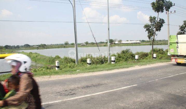 Tanah Raya Deandles Sidayu Gresik 8.1ha Akses Jalan Propinsi Cocok Dibangun Pabrik 2