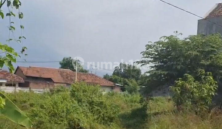 NOL JALAN GEMPOL - MOJOKERTO Tanah Mandurono Ngoro Mojokerto Siap Bangun 2109m2 Ngantong SHM Harga BU
