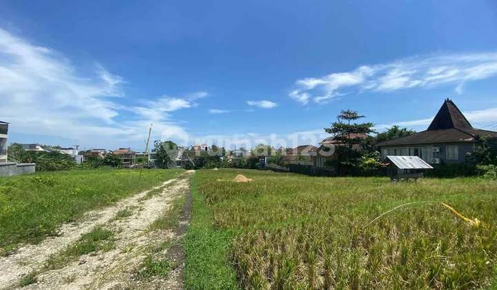 BARANG LANGKA Kavling Premium Berawa Bali Luas 200m2 - 329m2 SHM Sisa 5 Unit Saja