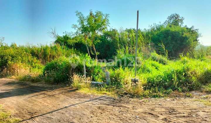 Kavling Siap Bangun Bumi Wonorejo Asri Rungkut Surabaya 197m2 Tanah Padat Bentuk Kotak Murah