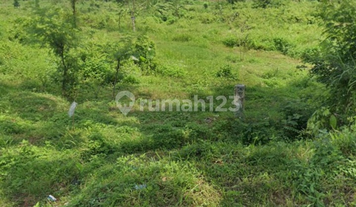 Tanah Nol Jalan Raya Pacet - Murah di Bawah Pasaran Tanah Nol Jalan Raya Pacet - Murah di Bawah Pasaran