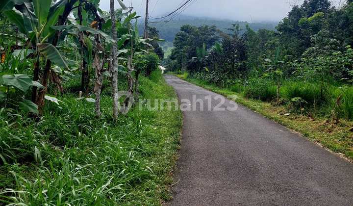 BARANG LANGKA Tanah Strategis di Dayurejo Prigen 9035m2 SHM Flash Sale 600rb/m2 Nego