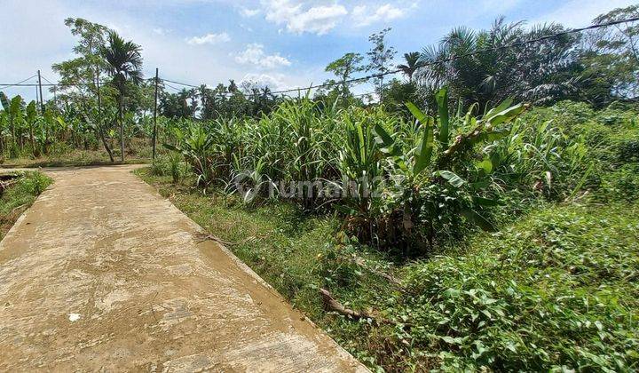 Tanah kavling murah uk 10x16m di jalan kowilhan ujung johor 2