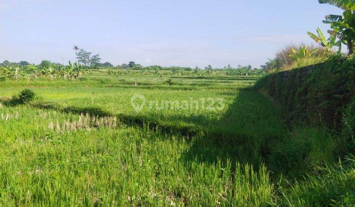 Tanah Dalam Perumahan area Abianbase, (AG) 2