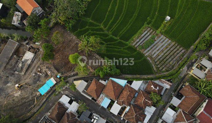 Rice field view land. Munggu Area. 2