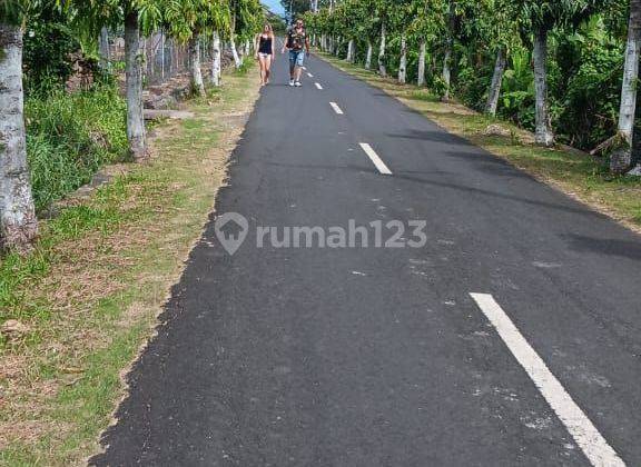 Land on the main road Yeh Gangga Tabanan. 1