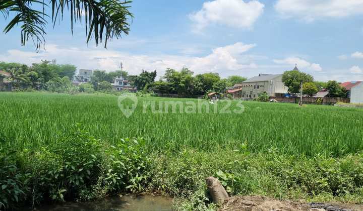 Di Jual Tanah di Jalan Bunga Kantil Daerah Ngumban Surbakti Medan Di Jual Tanah di Jalan Bunga Kantil Daerah Ngumban Surbakti Medan